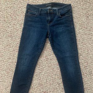 Joe's Skinny Ankle Jeans